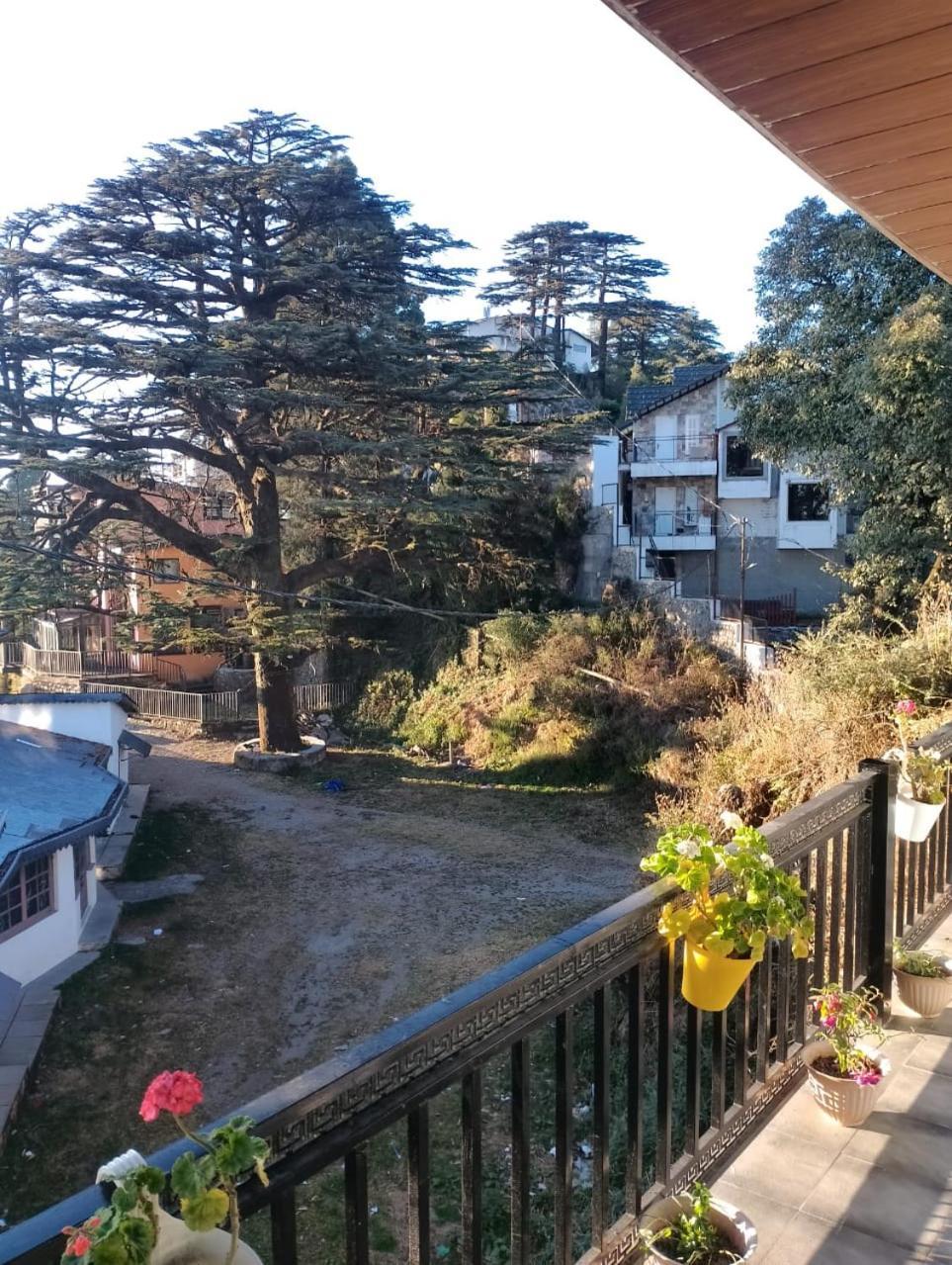 Himalayan View Stay - Pahado Wala Ghar Mussoorie Eksteriør bilde